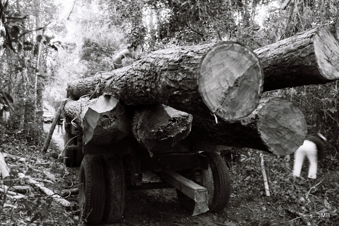 AÑO 1975 - BLANCO Y NEGRO - VIDA CAMPESINA EN PARAGUAY (JOSÉ MARÍA BLANCH)